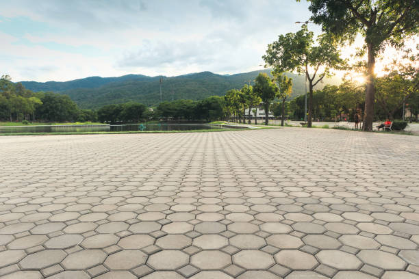 Professional Driveway Pavers in Dripping Springs, TX